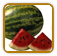 Heirloom Watermelon Seed | Seeds of Life