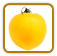 How to Grow Yellow Plum Tomato | Guide to Growing Yellow Plum Tomatoes