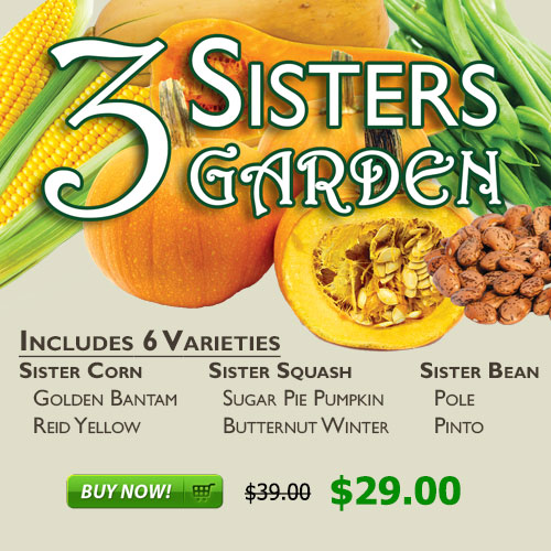 3 Sisters Garden